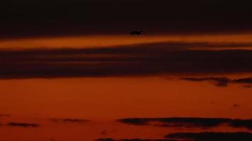 de flygplan på de slutlig närma sig innan landning på de bakgrund av de solnedgång skymning himmel video