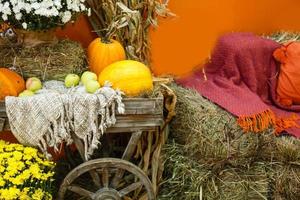 Autumn farm display of agricultural produce and fall chrysanthemum. photo