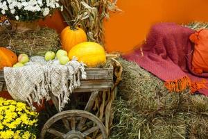 granja de otoño exhibición de productos agrícolas y crisantemo de otoño. foto