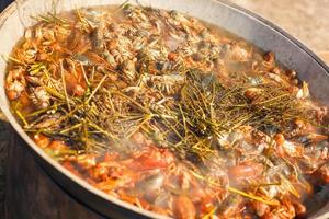 boiled crayfish with seasoning, Large pot photo