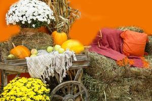 Autumn farm display of agricultural produce and fall chrysanthemum. photo