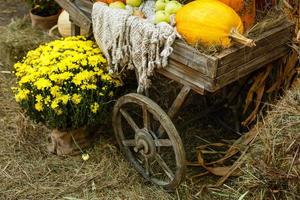 granja de otoño exhibición de productos agrícolas y crisantemo de otoño. foto