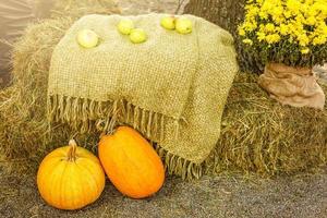 dos calabazas yacen en el heno en otoño foto