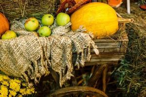 pumpkins lie on the hay in autumn photo