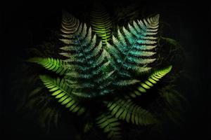 Vertical garden with tropical green leaf, contrast 3d illustration. photo