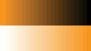 Happy Orange Color Palette Color Scheme » Monochromatic », 41% OFF