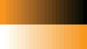 Color palette orange vector