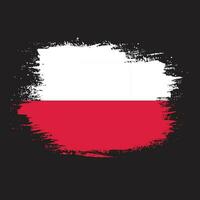 Splash grungy Poland flag design vector