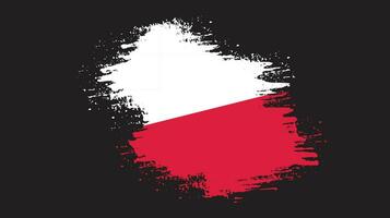 Modern brush stroke frame Poland flag vector