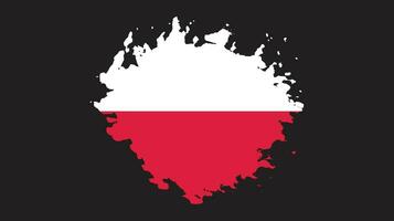 Poland brush stroke flag vector