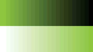 paleta de colores verde lima