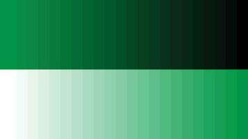 paleta de colores verde vector