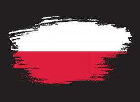 Ink splashes brush stroke Poland flag vector