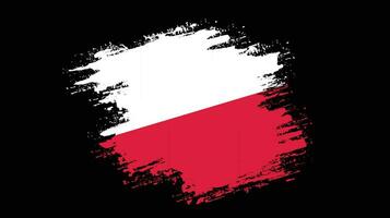 vector de bandera de polonia abstracto profesional de pintura de mano