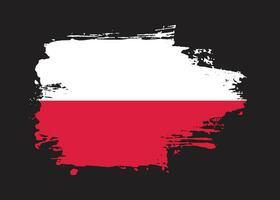 pincel marco polonia bandera vector