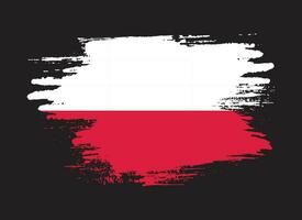 vector de bandera de polonia de racha de pintura profesional