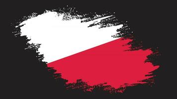 Modern brush stroke frame Poland flag vector