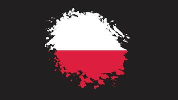 Paint grunge brush stroke Poland flag vector