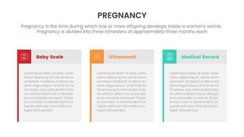 data information with table column for pregnant or pregnancy infographic concept for slide presentation with 3 point list vector