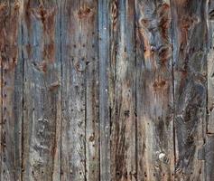 rural old, grunge wooden panels photo