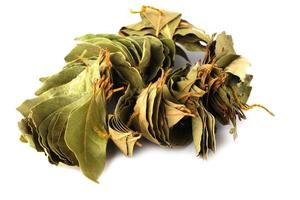 pile of dry bay leaves isolated on white background photo