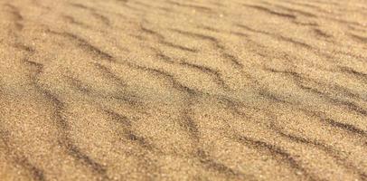 Yellow sand closeup as texture. Selective focus photo