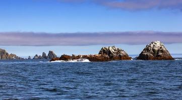 rocks in the Pacific ocean. Seascape. Selective focus photo