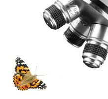 Objective Lens of Microscope and butterfly Isolated on the White Background photo