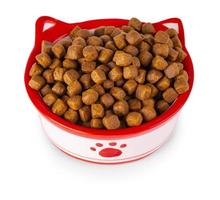 Comida seca para gatos en un recipiente, aislada de fondo blanco foto