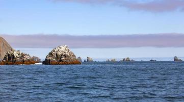 rocks in the Pacific ocean. Seascape. Selective focus photo