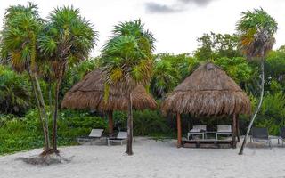 Palms parasols sun loungers beach resort Playa del Carmen Mexico. photo
