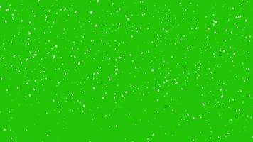 snöflingor faller på grön skärm.realistisk 4k animation. video