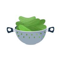 Washed cucumbers lie in a colander. Food preparation and storage. Canned natural healthy products vector illustration.