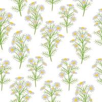 Vector seamless pattern with Chamomile on white background. Illustration for children used for magazine, book, poster, card, web pages.