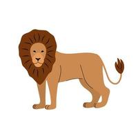 Vector illustration of lion on a white background. Big cat.