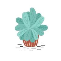 Green decorative houseplant in the pot in flat style. Vector illustration isolated on white background.