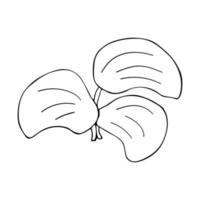 hojas de bardana planta de primavera verano en vector de estilo doodle
