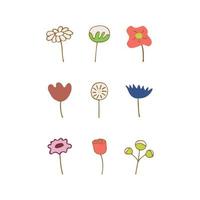 Set of spring and summer flowers and twigs vector