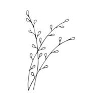 Willow branches. Spring flowering tree. Palm Sunday holiday vector