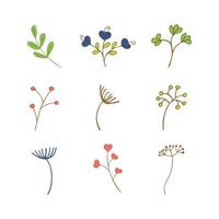 Set of spring and summer flowers and twigs vector