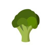 broccoli icon design vector template