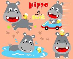 Vector set of hippo and duck cartoon in different action