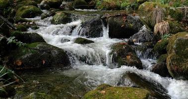 kleine Wasserfälle im Wald im Herbst video