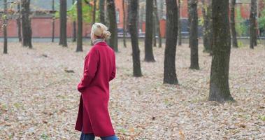 een meisje in een rood jas wandelingen in de herfst park video