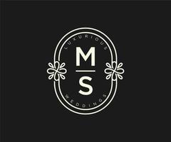 MS Initials letter Wedding monogram logos template, hand drawn modern minimalistic and floral templates for Invitation cards, Save the Date, elegant identity. vector