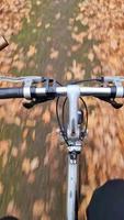 visie van de stuurinrichting wiel van een in beweging fiets met de asfalt weg onder het gedurende herfst. video