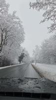 View from the windscreen of a car driving on a snowy road with many snow-covered trees. video