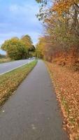 View of the steering wheel of a moving bicycle with the asphalt road under it during autumn. video