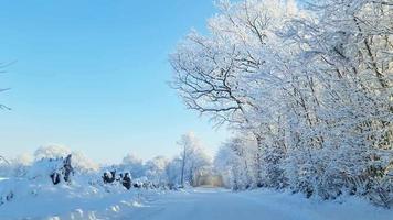 visie van de voorruit van een auto het rijden Aan een besneeuwd weg met veel met sneeuw bedekt bomen. video