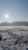 se över frysta sjö täckt i snö med fotspår i klar väder. video